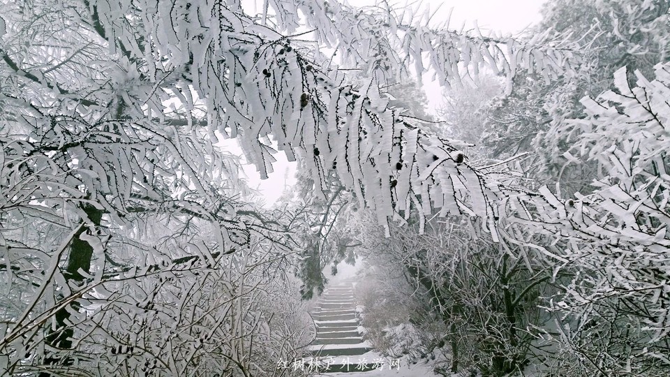 20170326_111030_mh1490512809718