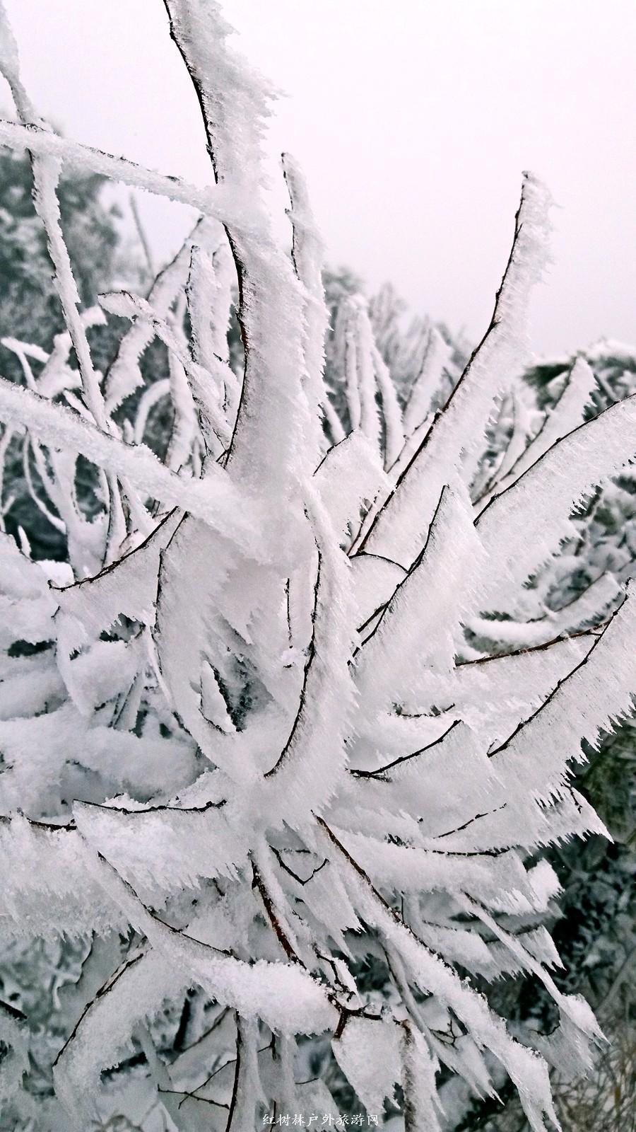 20170326_110937_mh1490512749903