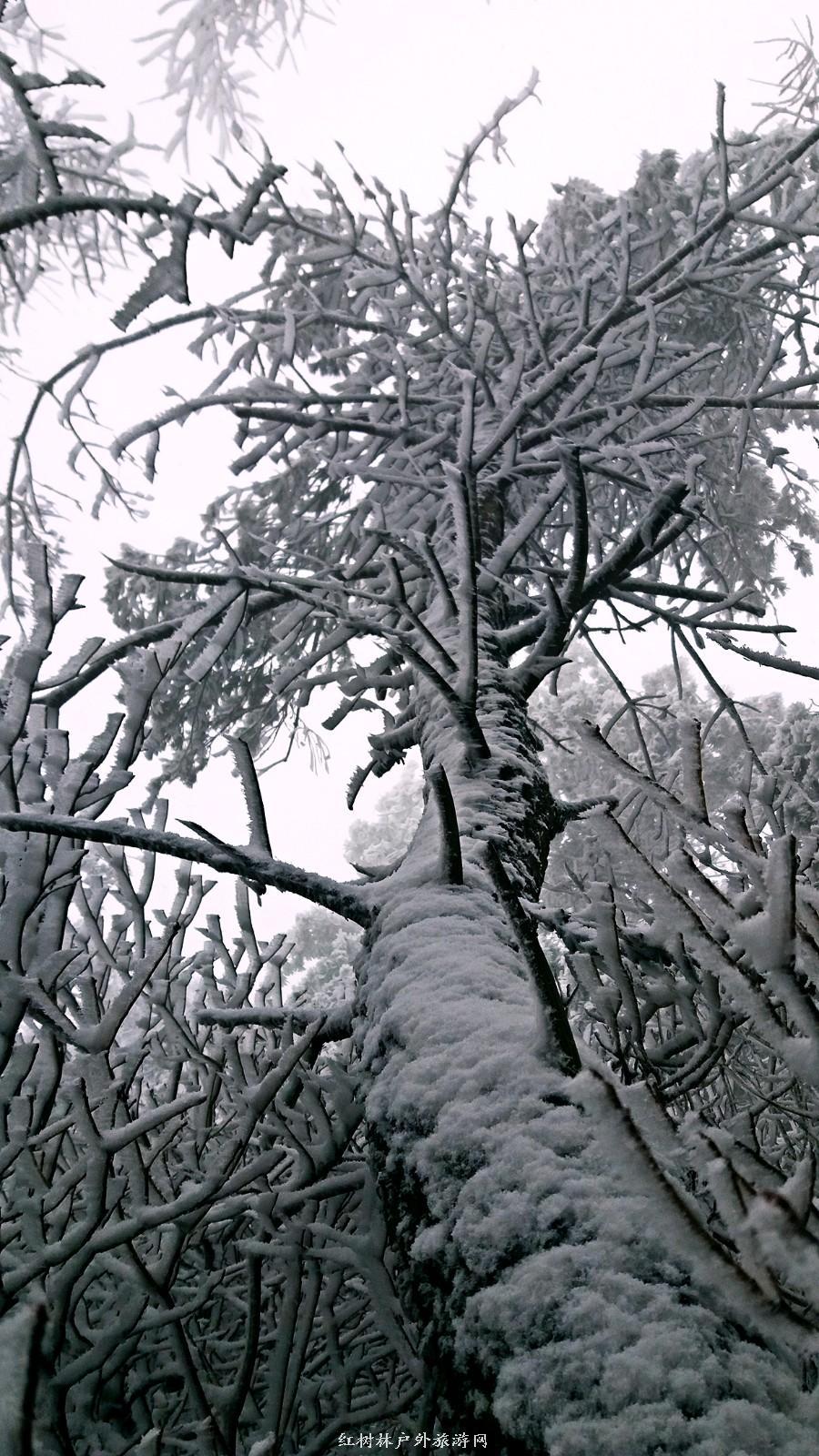 20170326_111259_mh1490512913027