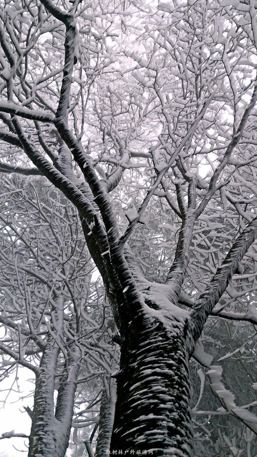 20170326_111158_mh1490512851997