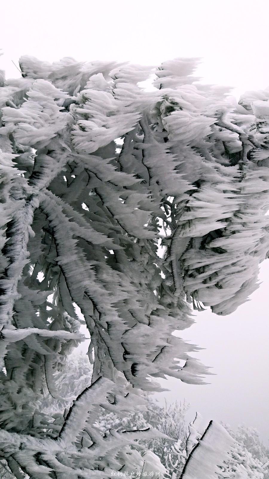 20170326_110919_mh1490512729798