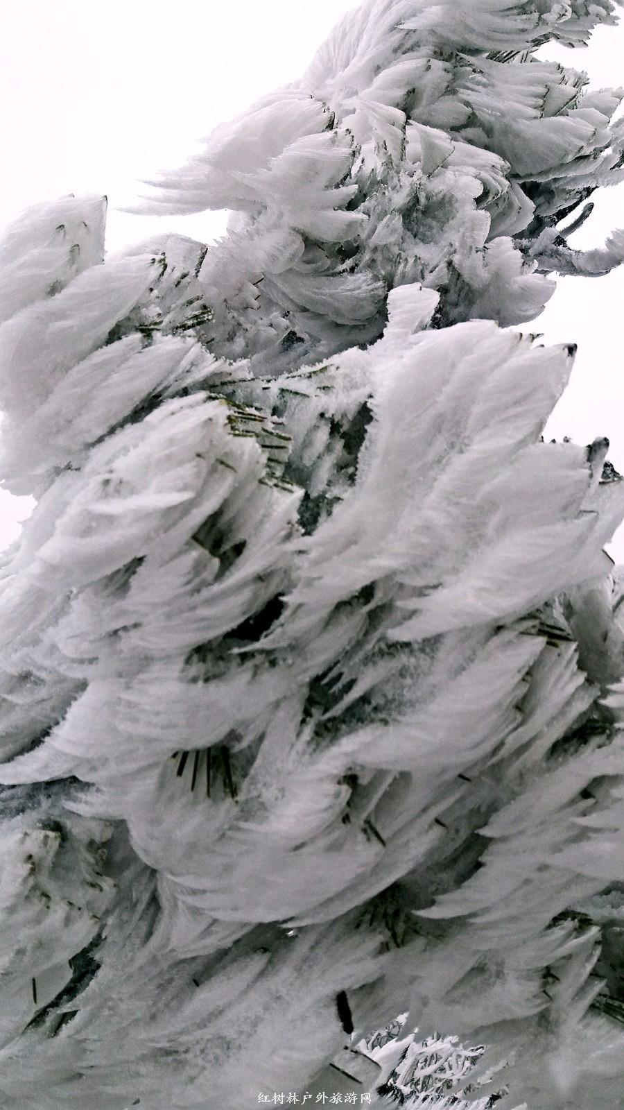 20170326_110912_mh1490512669747