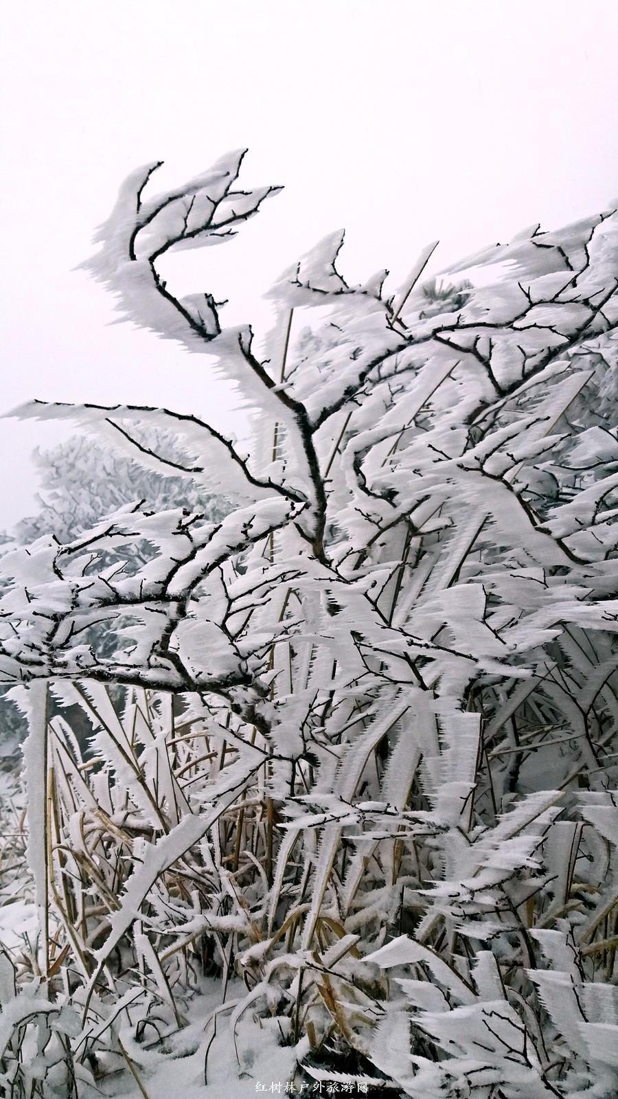 20170326_110804_mh1490512633723