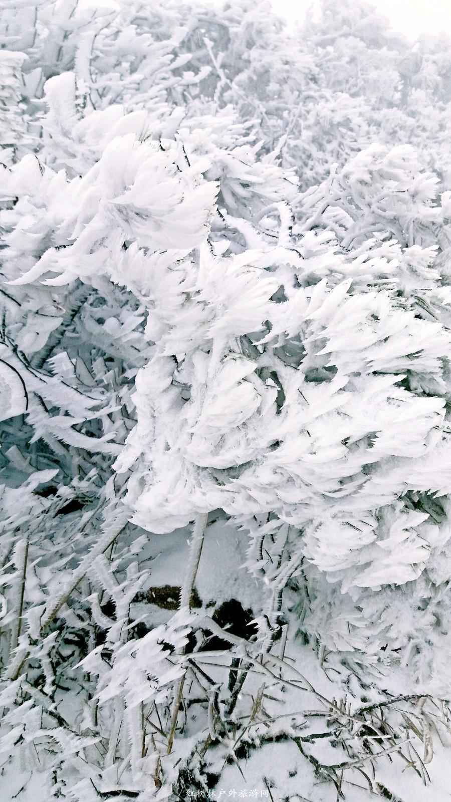 20170326_110734_mh1490512523231