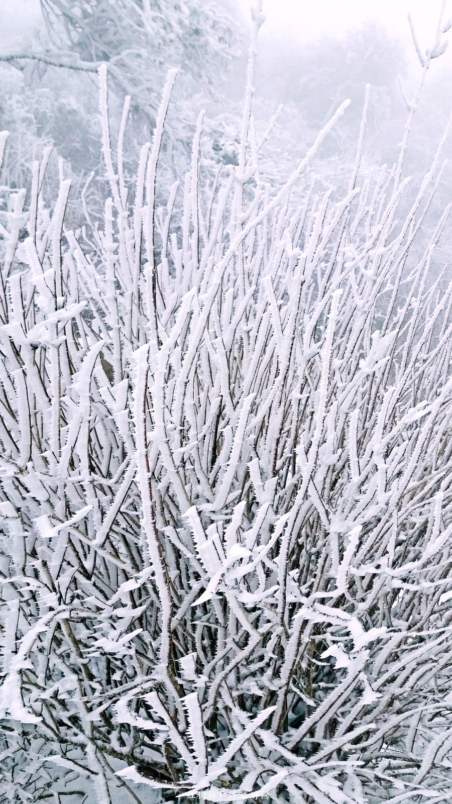 20170326_110745_mh1490512610602