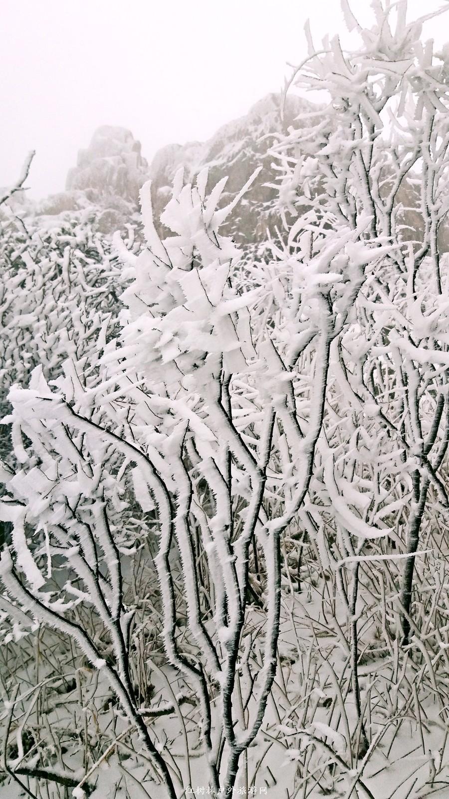 20170326_110657_mh1490512446696