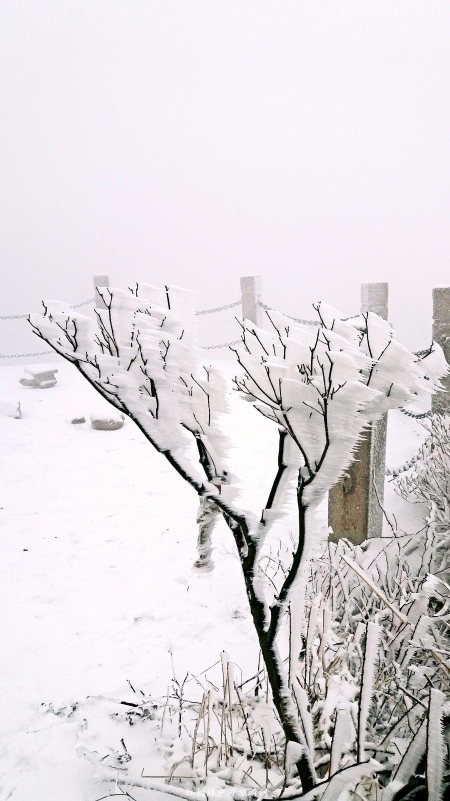 20170326_110727_mh1490512383221