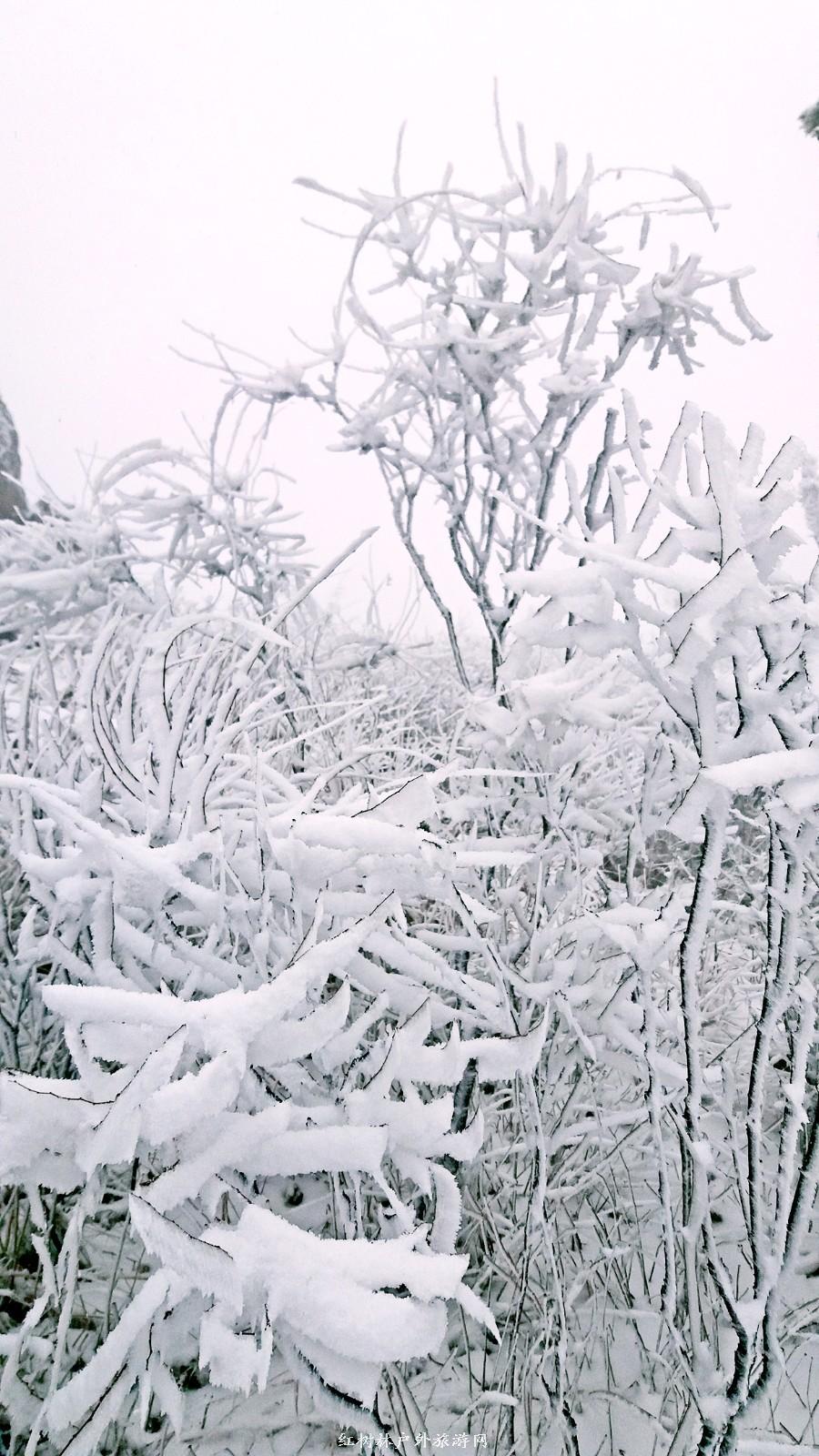 20170326_110653_mh1490512328572