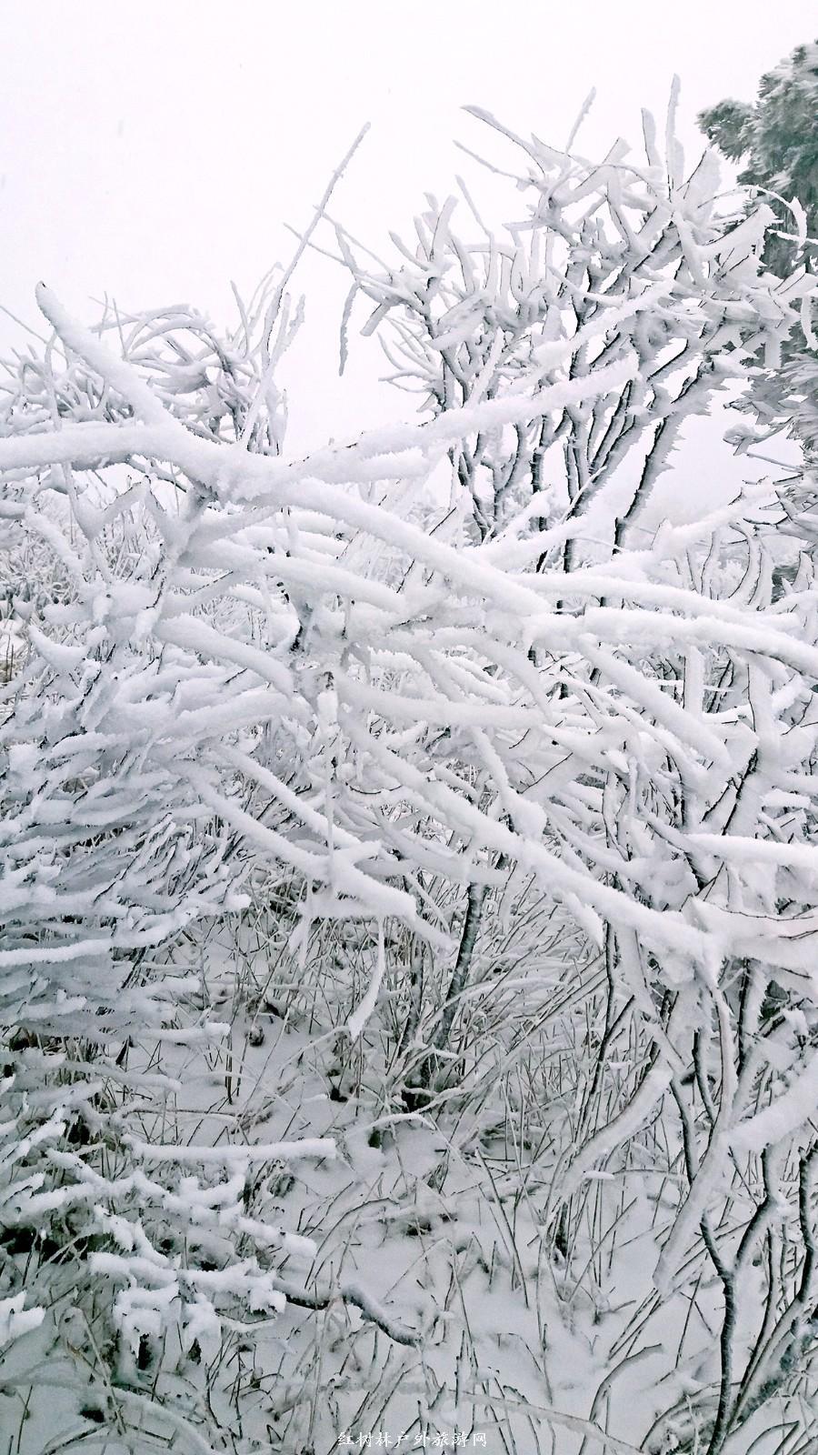 20170326_110650_mh1490512278762