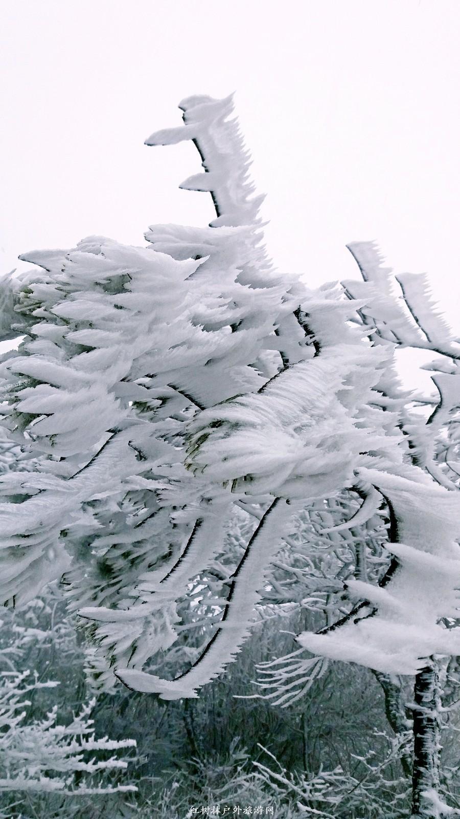 20170326_110634_mh1490512154778