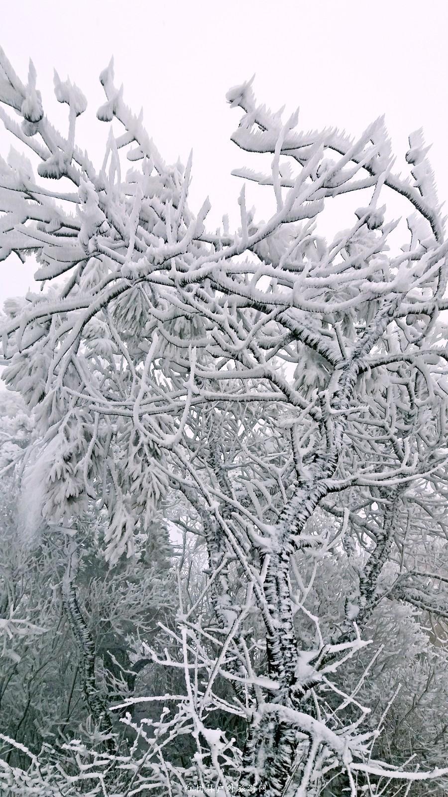 20170326_110639_mh1490512208176