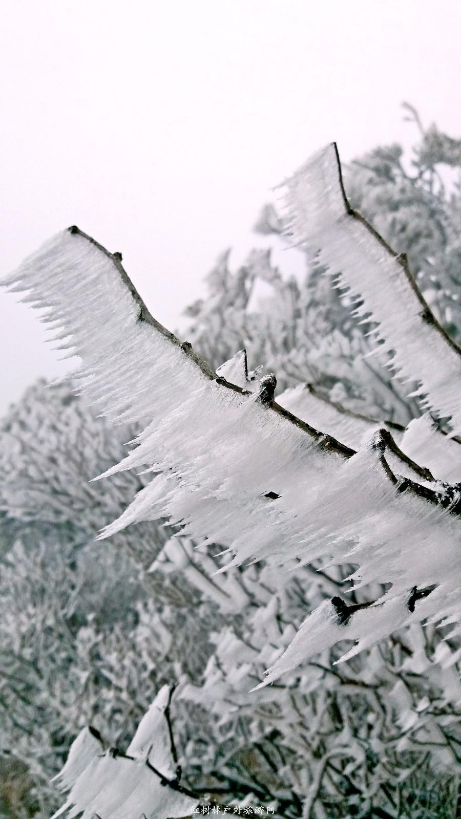 20170326_110605_mh1490511957325