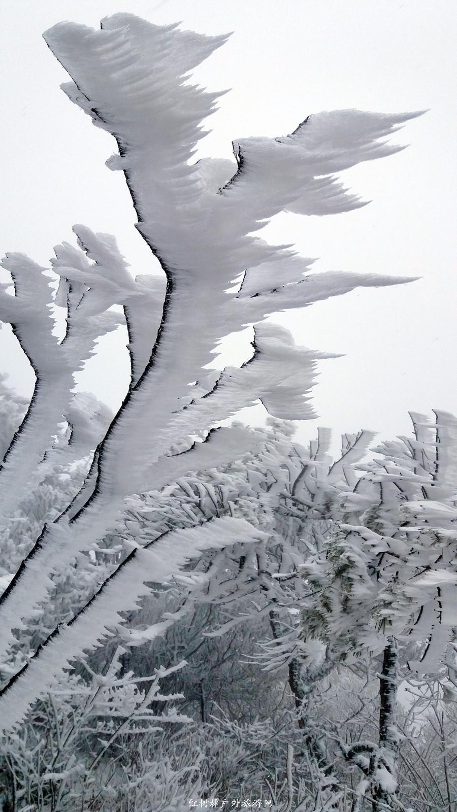 20170326_110628_mh1490512002917