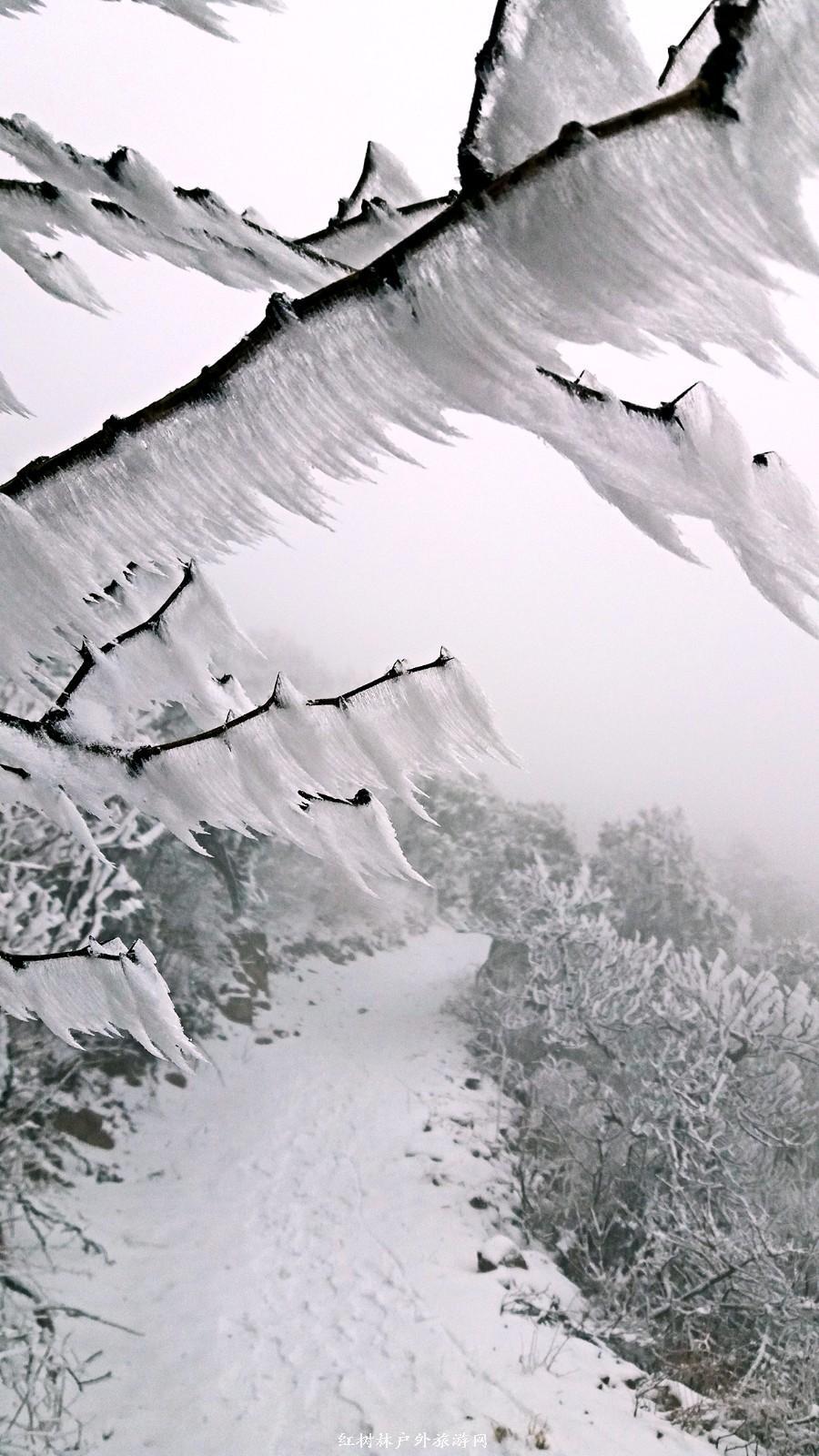 20170326_110554_mh1490511886802