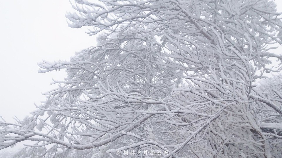 20170326_110425_mh1490511835383