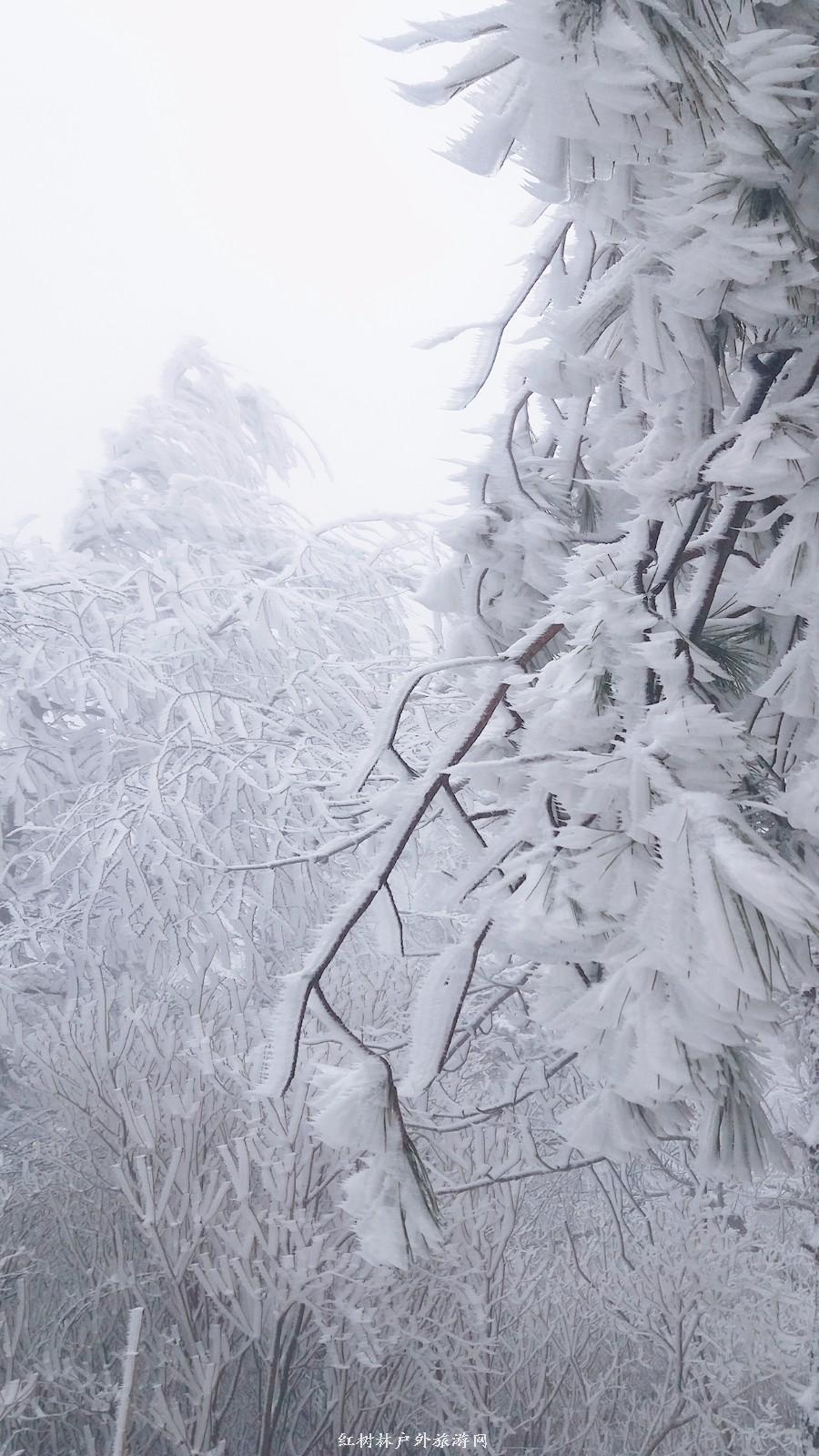 20170326_110347_mh1490511758991