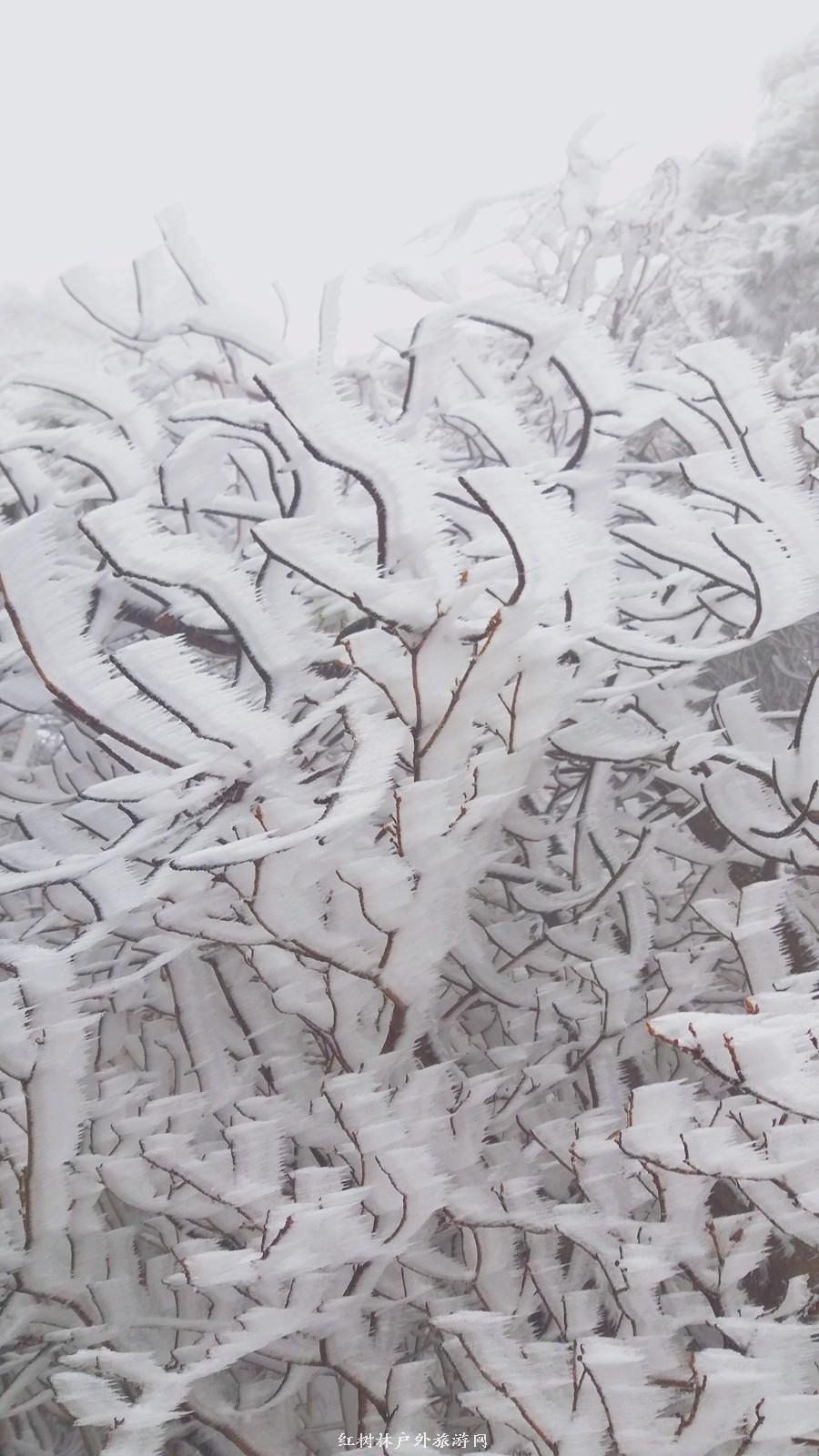 20170326_110337_mh1490511688805