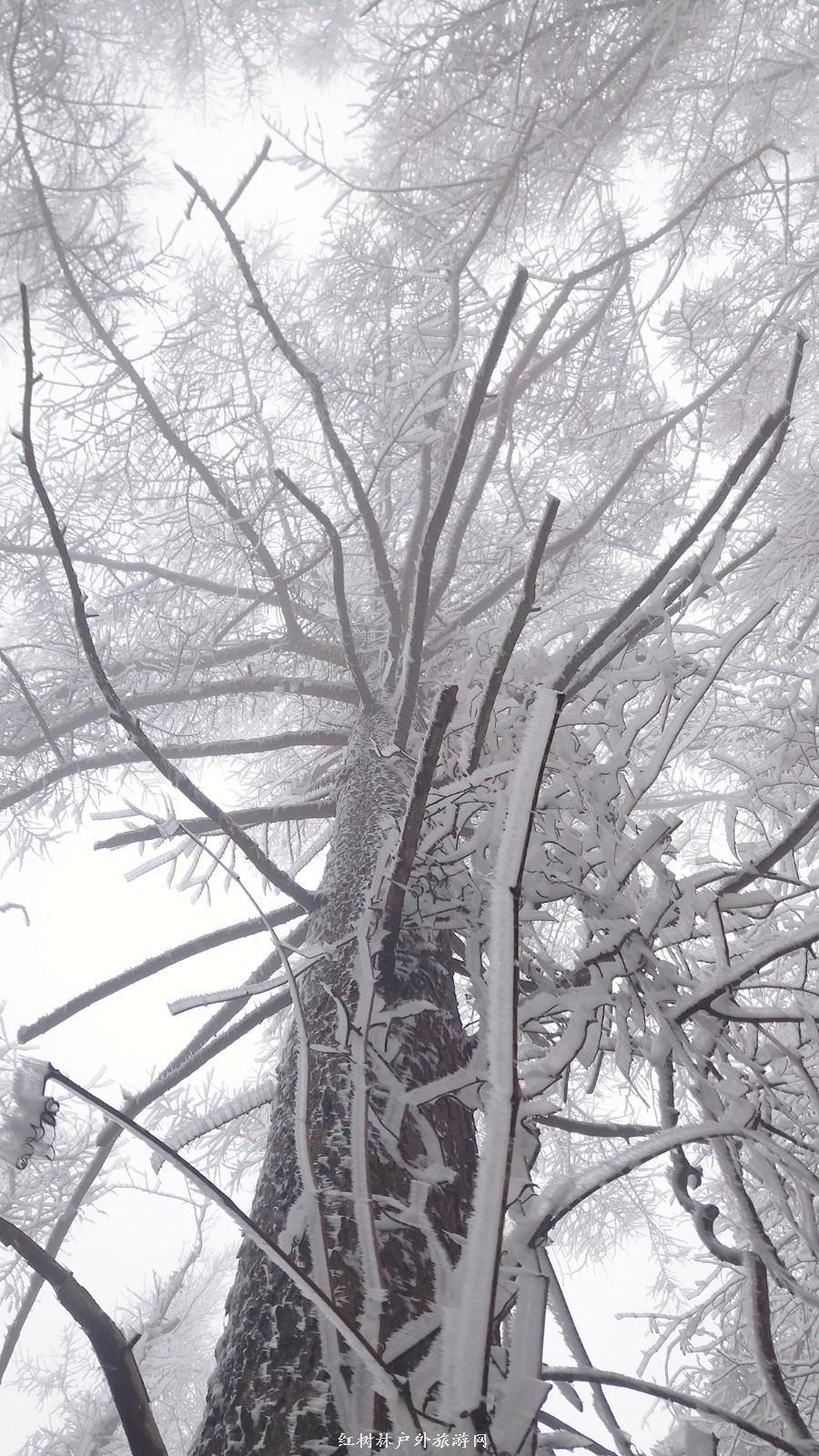 20170326_110146_mh1490511603567