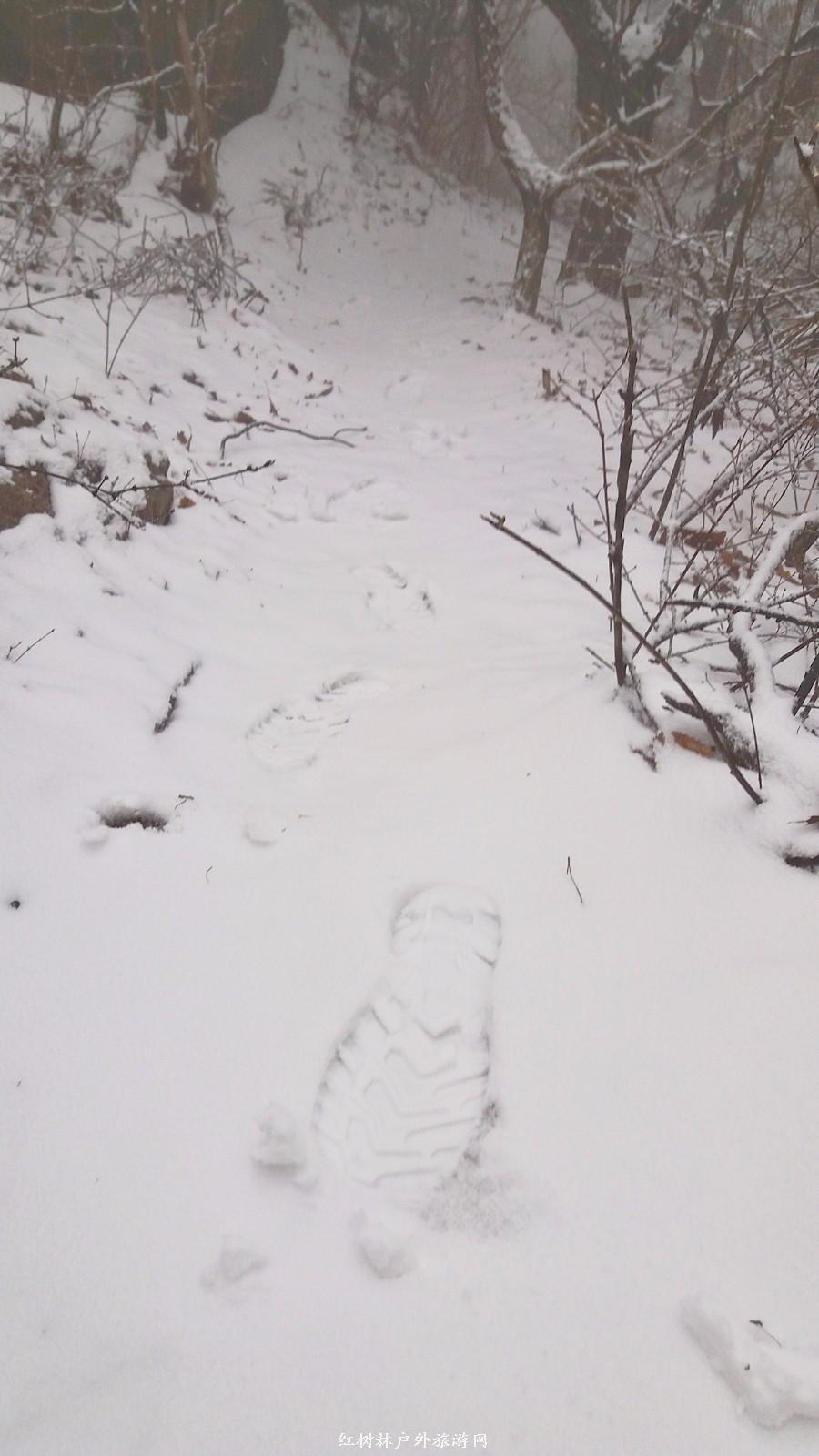 20170326_101809_mh1490511097041