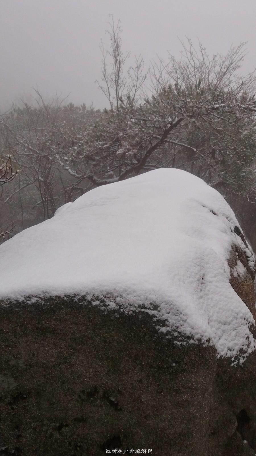 20170326_101608_mh1490511058314