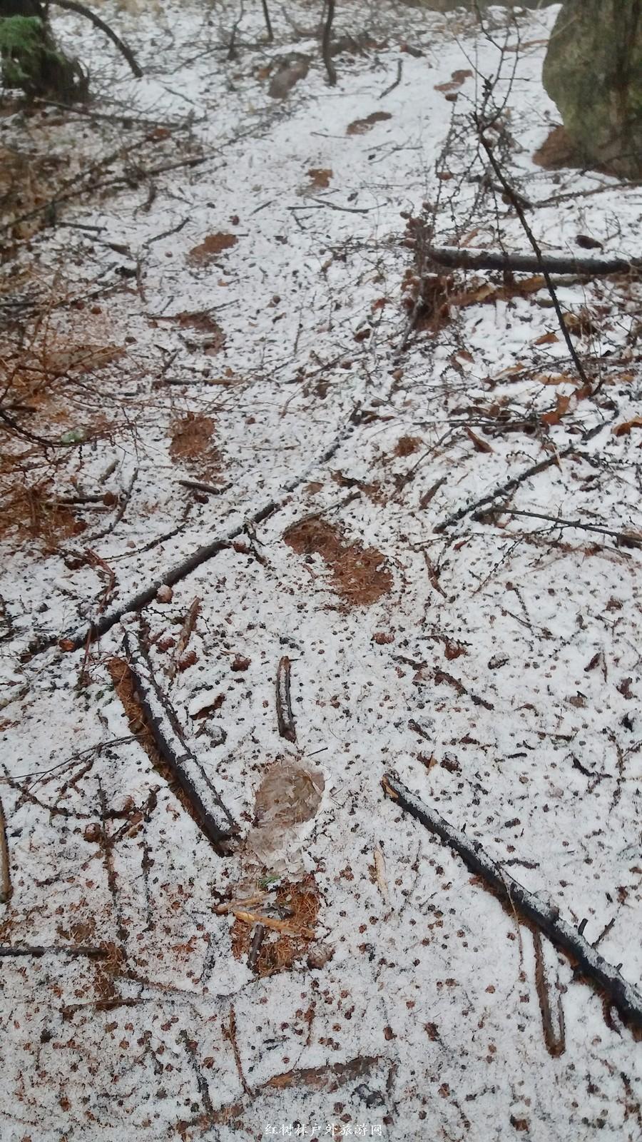 20170326_093416_mh1490510983003