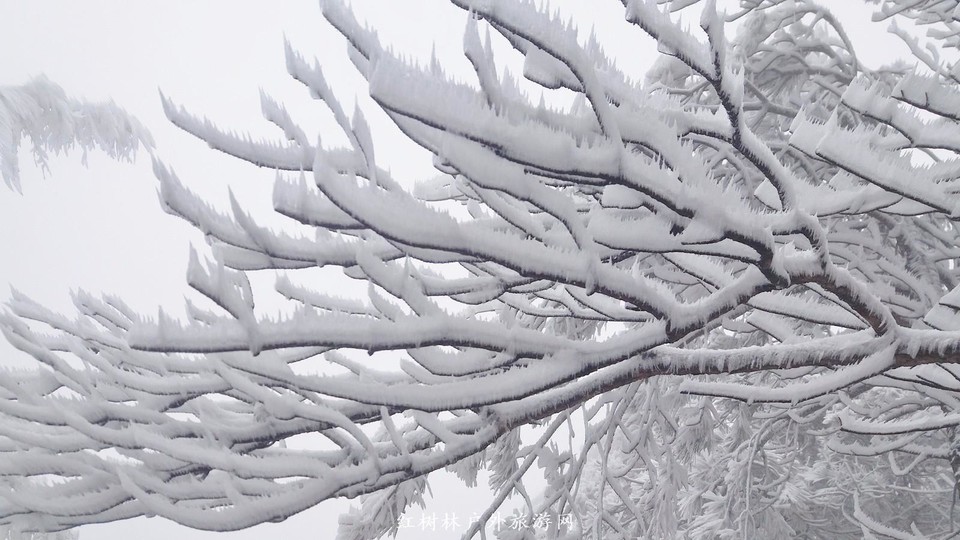 20170326_110421_mh1490511798800