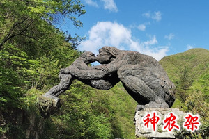 【独家定制】武当山-神农架-三峡人家-鸡公山七日游