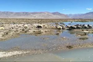徒步珠峰东坡——嘎玛沟
