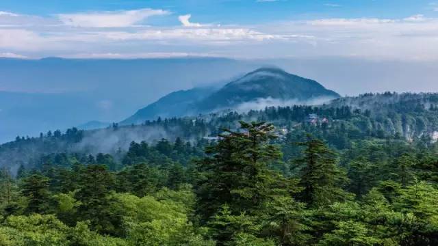 57baa5eef07e5 (1).jpg