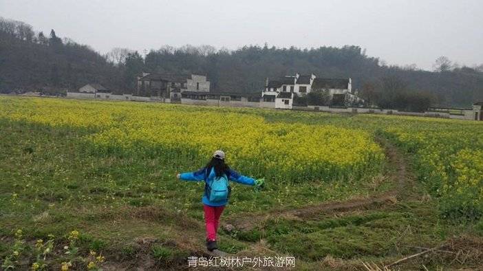 QQ图片20160315185222.jpg
