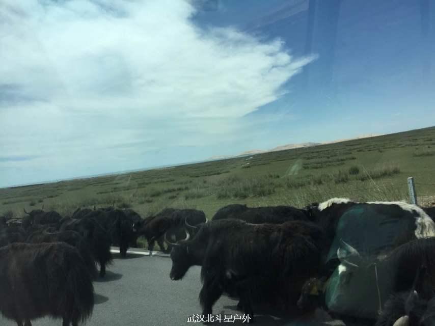 1da10f570798ab1a20d2cb6a95d9839b_big