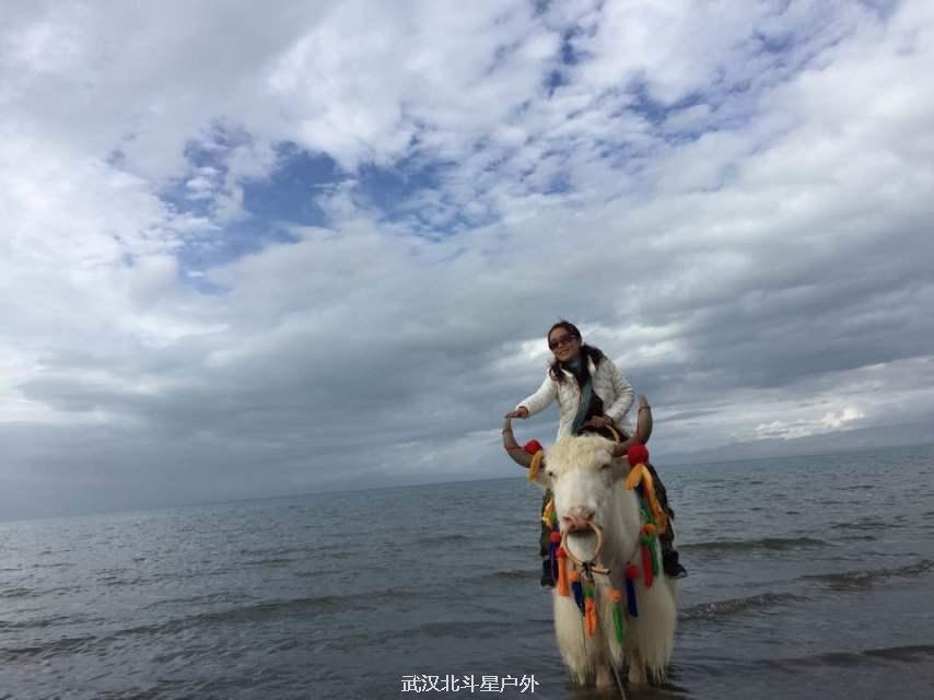 1efee6887fb44bbb80cf944ceeb342c7_big