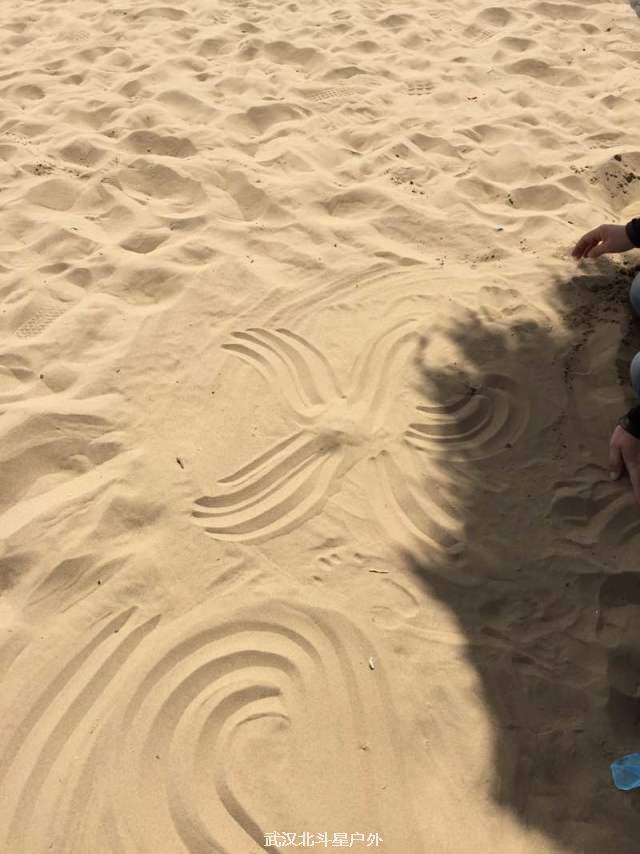 2fe6cd146753e5327ec331be7d4028e3_big