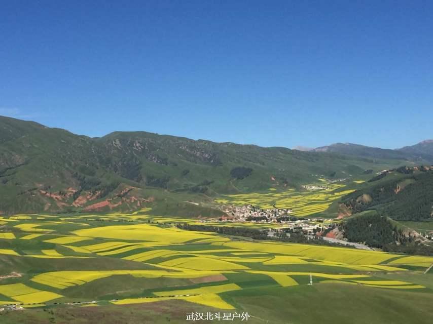 4a0819525b573cfba9fbe6791d6ae502_big