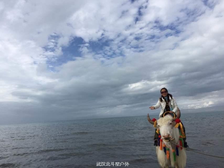 05ed15e720eb32a5b9d45f31920a9d55_big