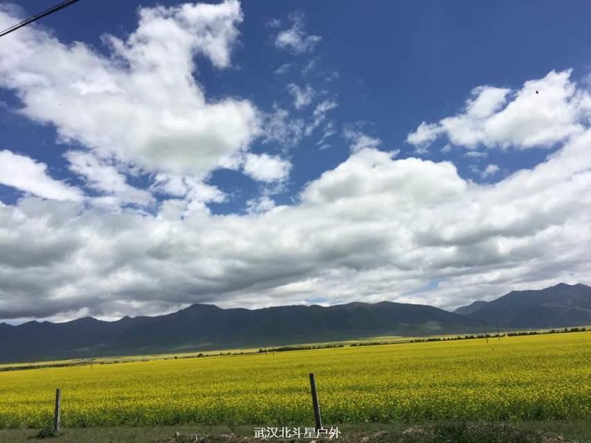 8c501b2c45a676da25757b6d838502b2_big