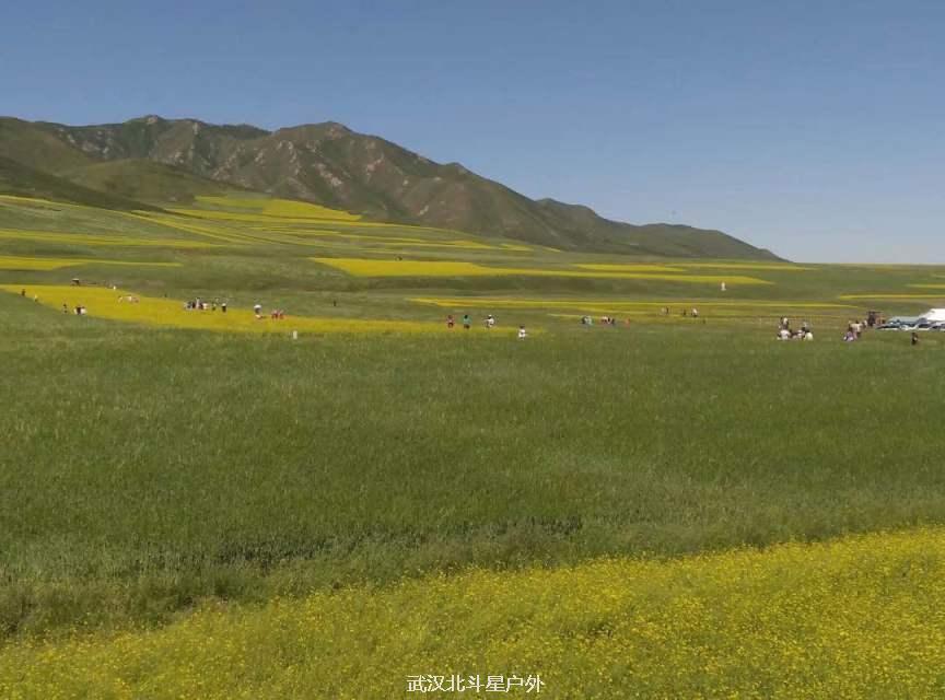 8ce59b1283660eb8b234c02eee1af4c5_big