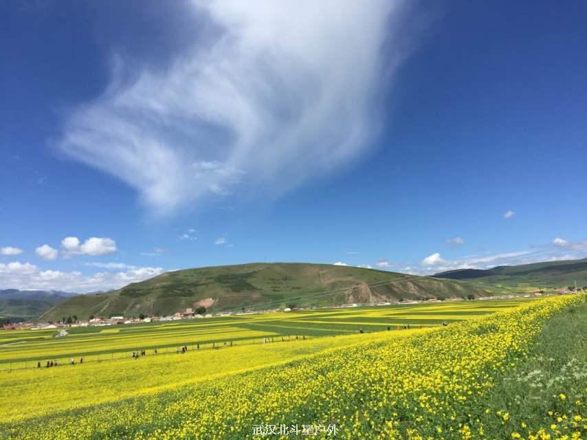 8f0dc56507f633e297af8f90556db682_big