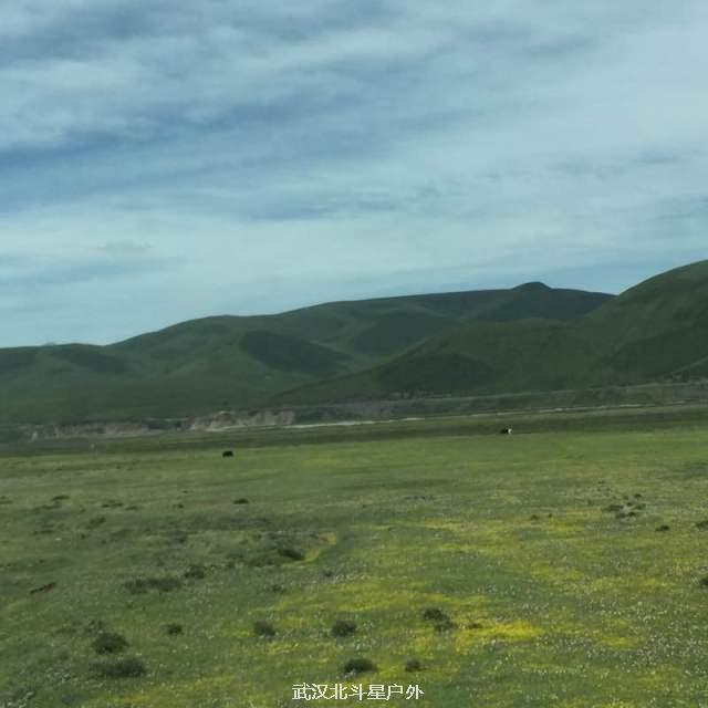 036f6c8755edf5957c59bf8731ba99c4_big