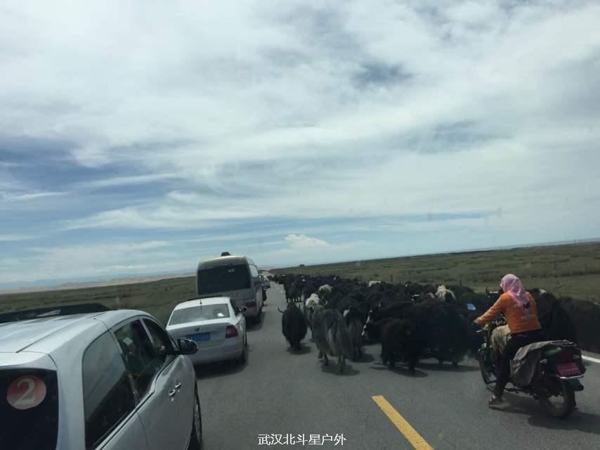 36fc32e1e86f604c8e3f70735f64334d_big