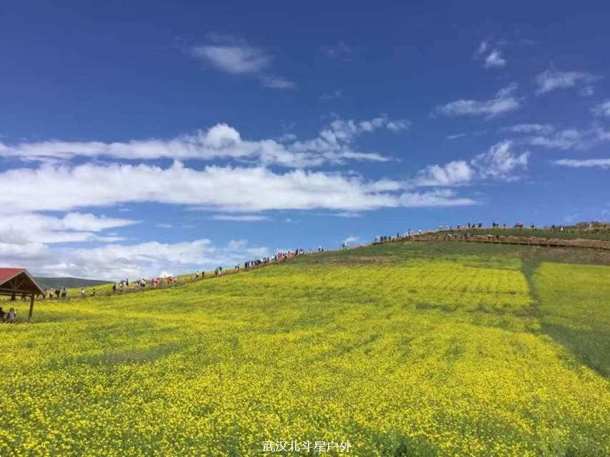 75d7f0d74d394902334ef2fcb085d003_big