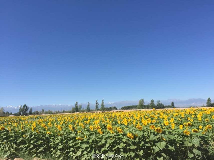 76bf79831e35452dcdbdf4d41d8f8d3e_big