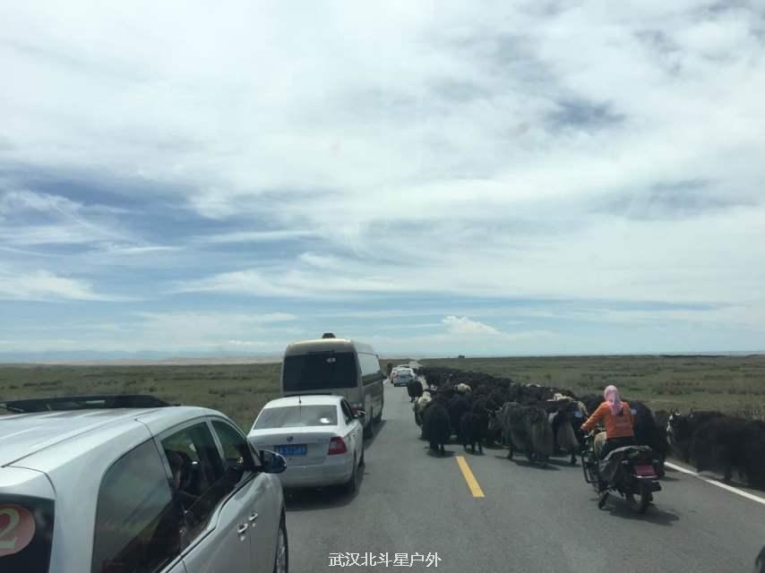 239bf854ff8a672d11c53dd3684cb4ff_big