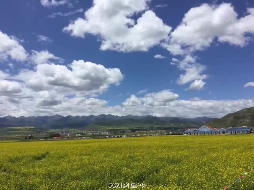 503b731683f8a9254cfb66e120fa1783_big