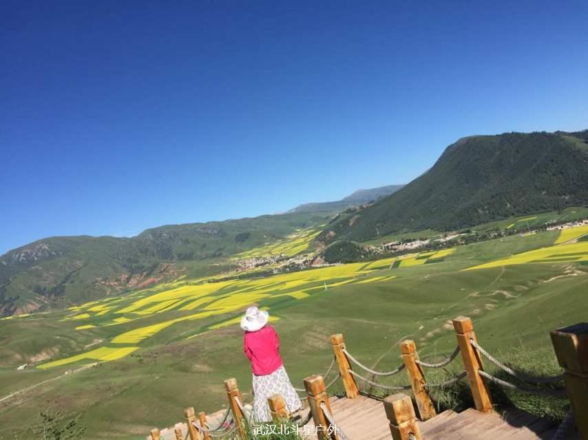 506d3bb518d8e488f0e3c497ca564b60_big