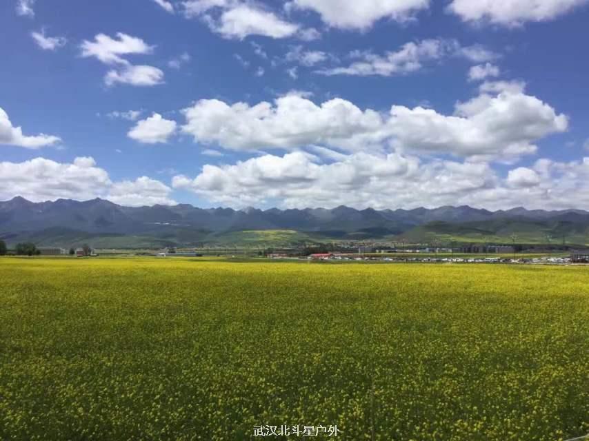 538aea34240c30fe25ed69111e58b188_big