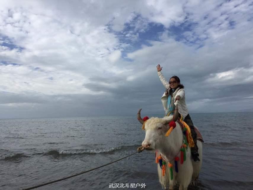 2709f064406bfc10090bf2ea72738b0e_big