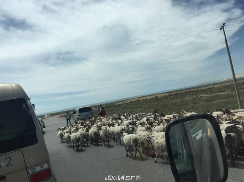 21565b89b530e3df6a7160016b449acd_big