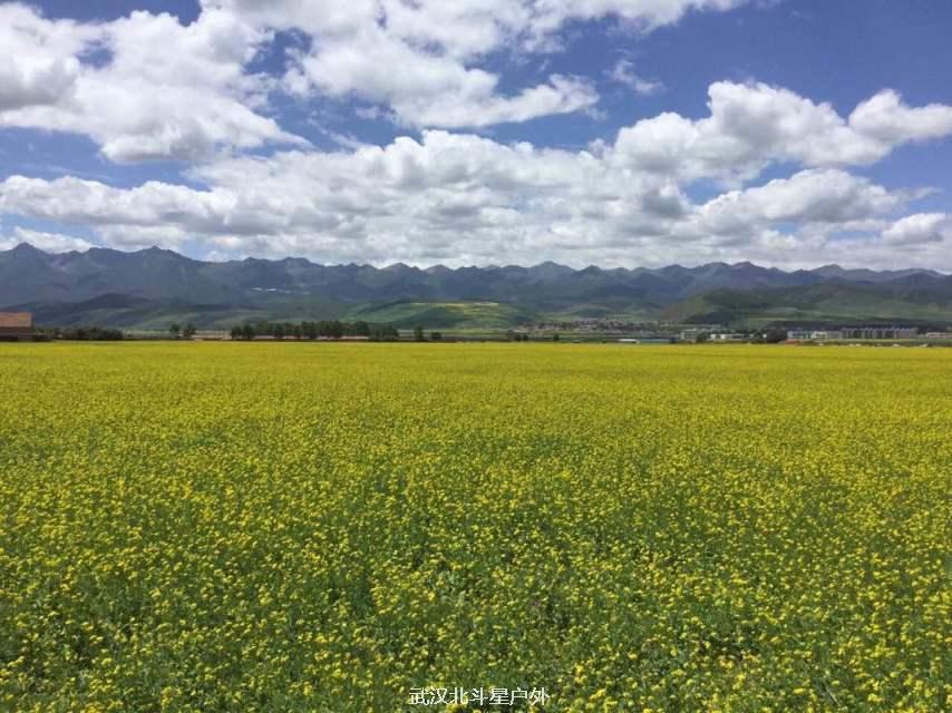 93189ce2939ac31df1b10a1905e847a9_big