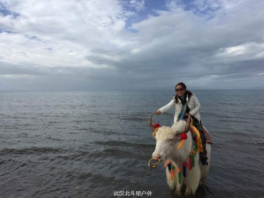 597340aa29a3a917ba47634b7ef71300_big